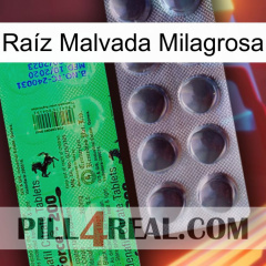 Raíz Malvada Milagrosa new04